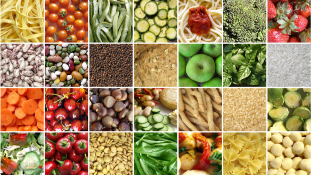 Blog Action Day Food Collage