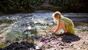 Freeschool Student Explores