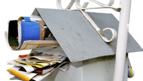 Eliminate Junk Mail Catalogs