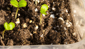 repost-us-image-11428748