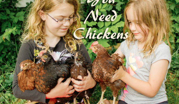 You Need Chickens: Backyard Chickens and Why They're Great 