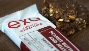 exo cricket protein bars