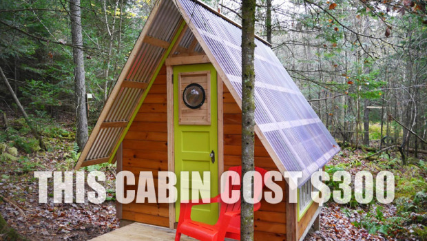 $300 Tiny House, Cabin