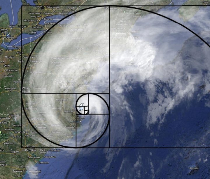 fibonacci spirals in space