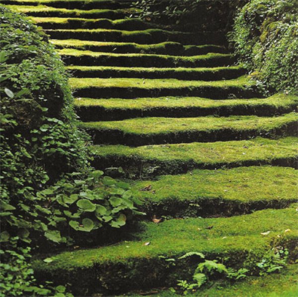 Moss stairway