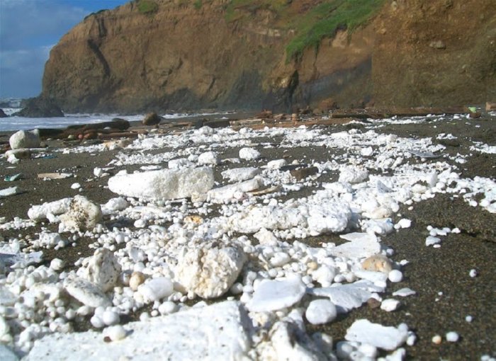 styrofoam on beach