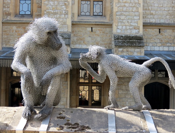 chicken wire sculpture