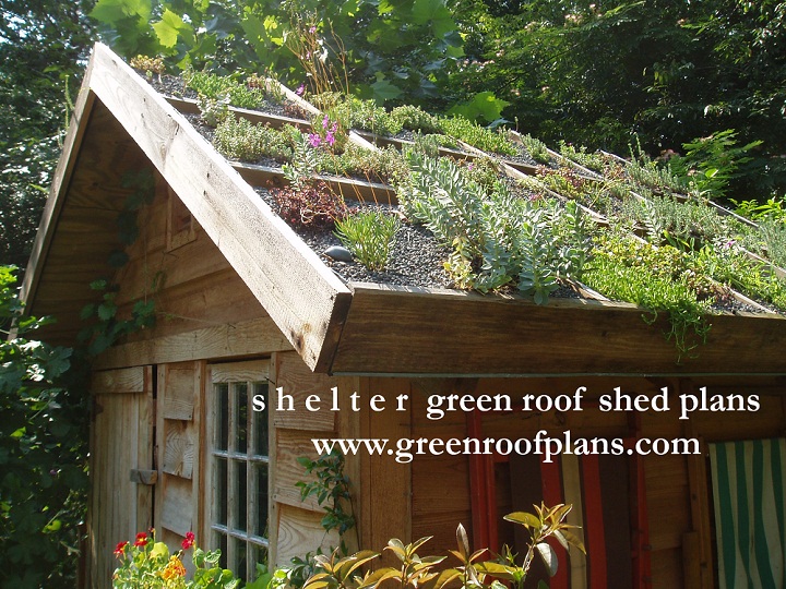 green roof shed