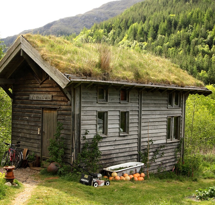 cabin with green roof