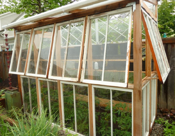 greenhouse made of old windows