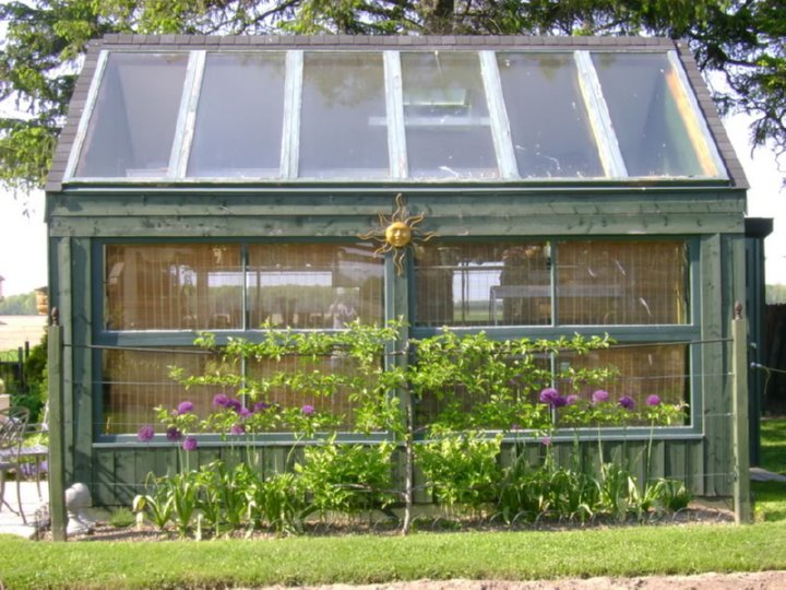 greenhouse made of old windows