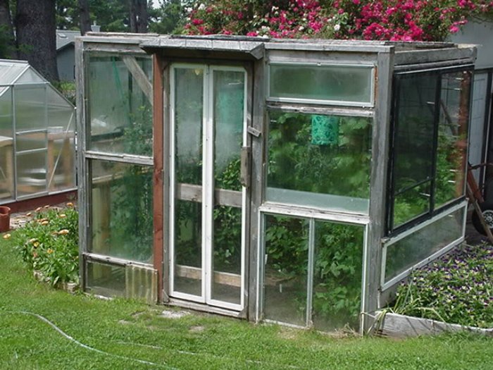 greenhouse made of old windows