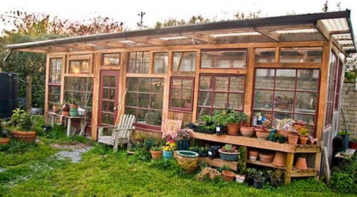 greenhouse made of old windows