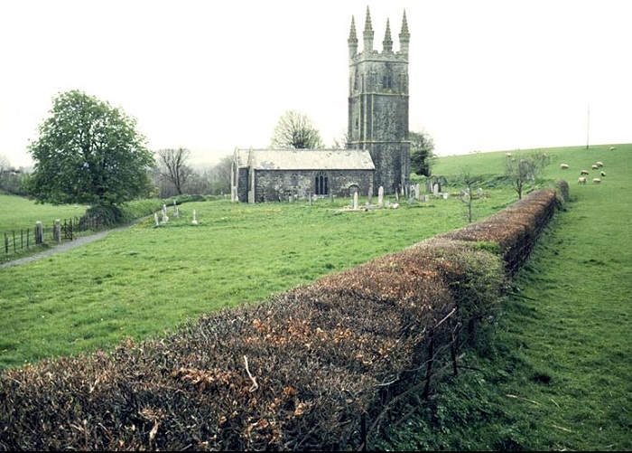 hedge laying