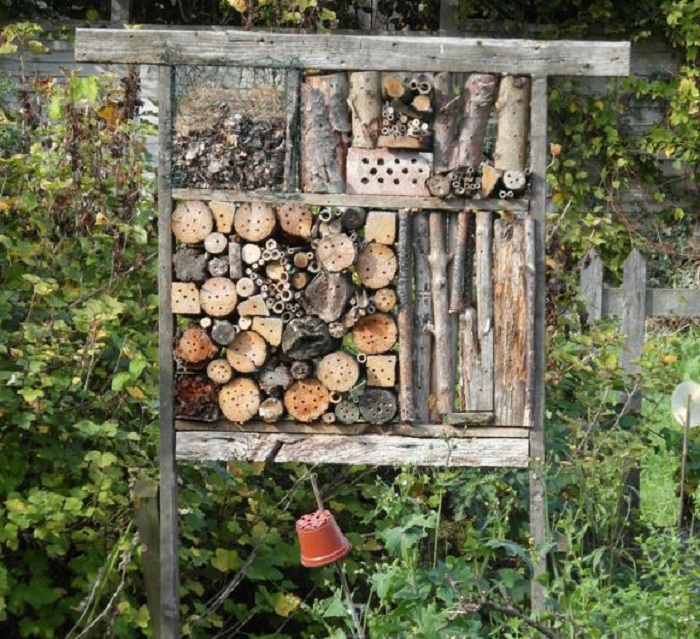 insect hotel