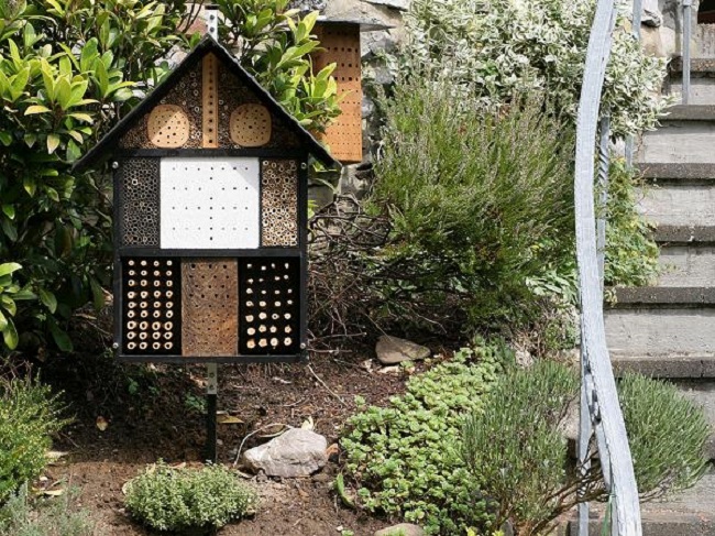 insect hotel