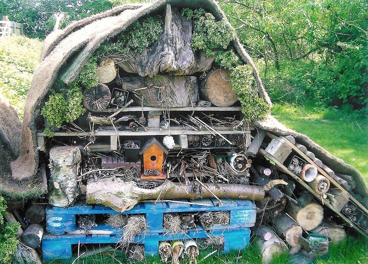 bug hotel