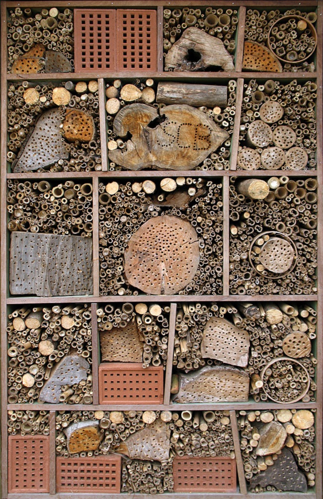 insect hotel