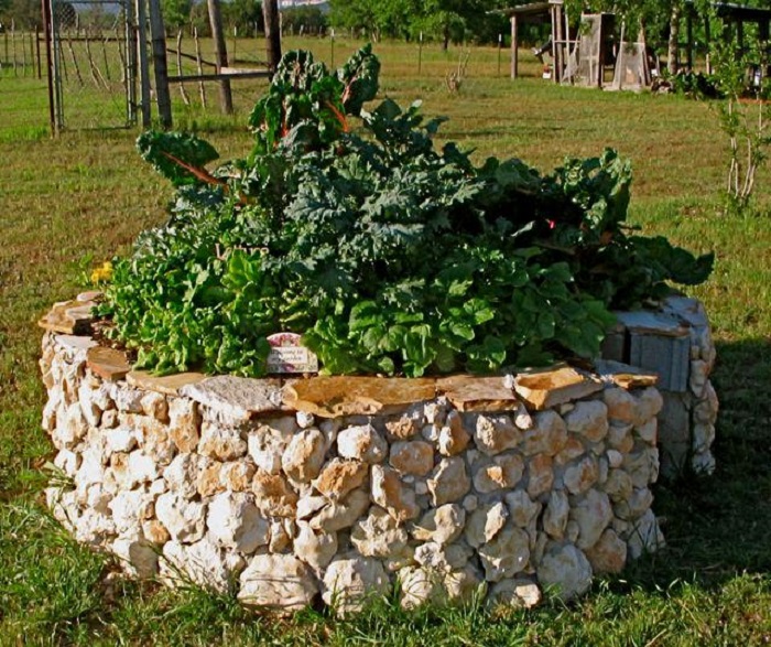 deb tolman keyhole gardening