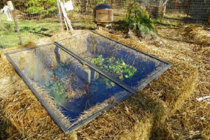 pit greenhouse