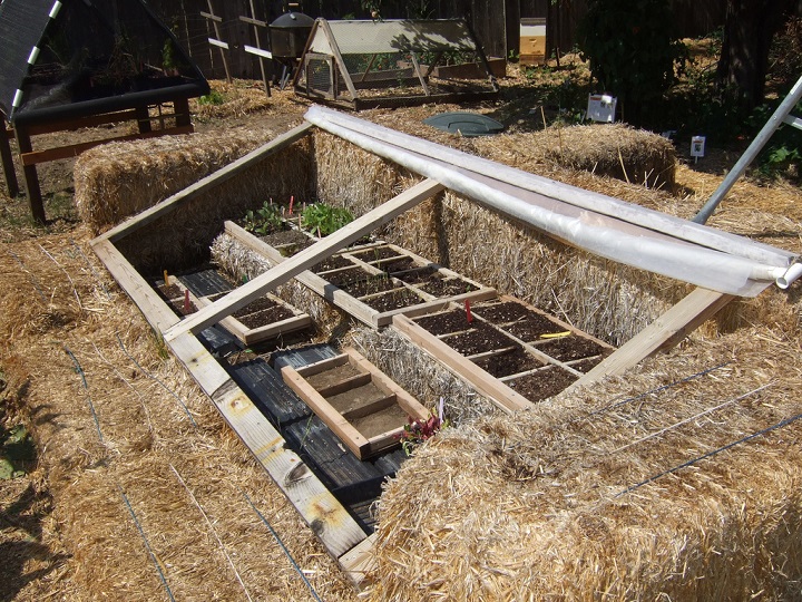 pit greenhouse