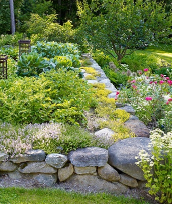 stone raised bed