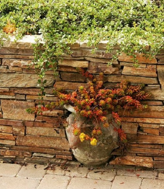 stone wall with potted plant