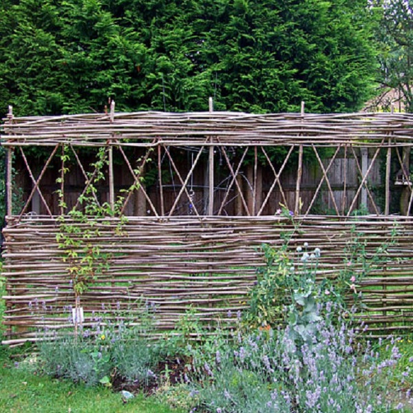 wattle fence