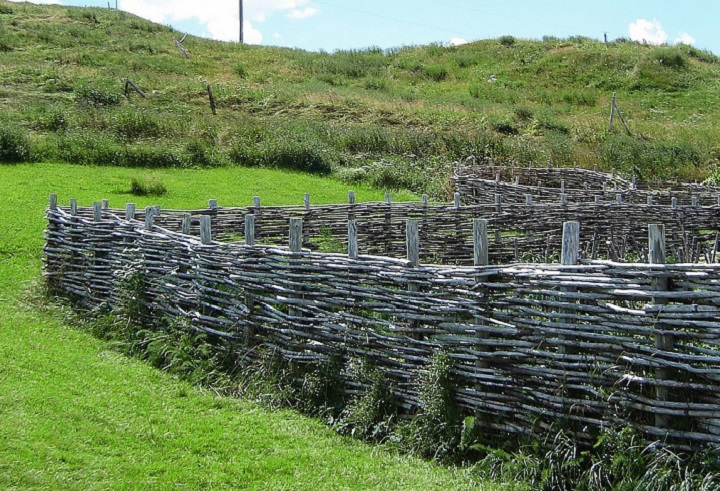 wattle fence