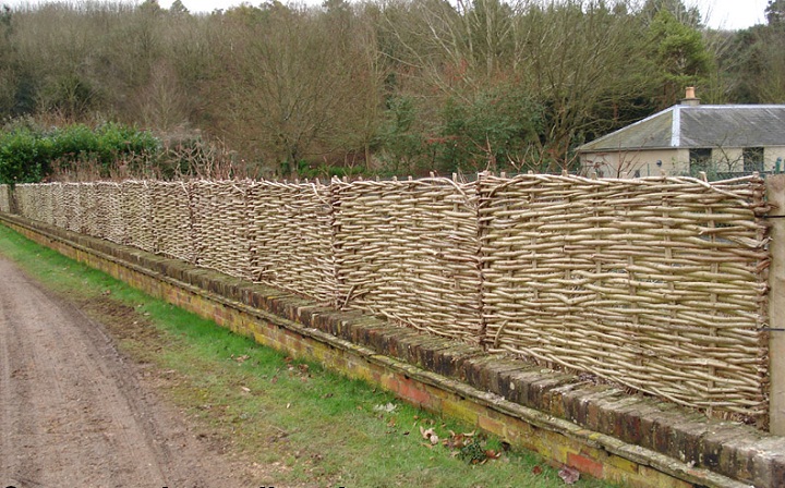 wattle fence