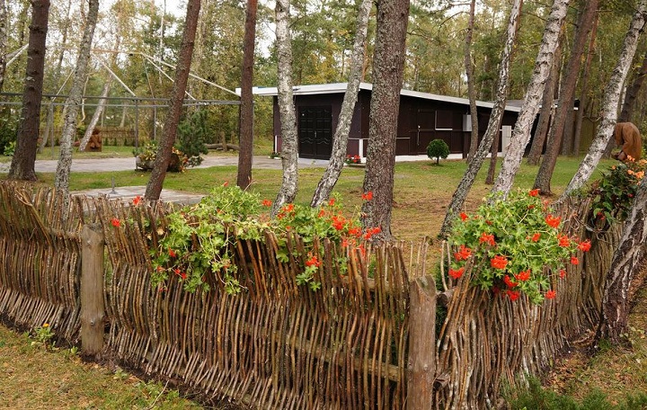 wattle fence