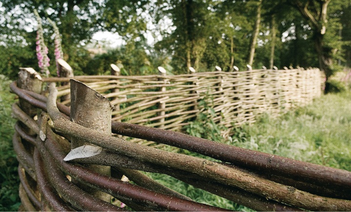 wattle fence