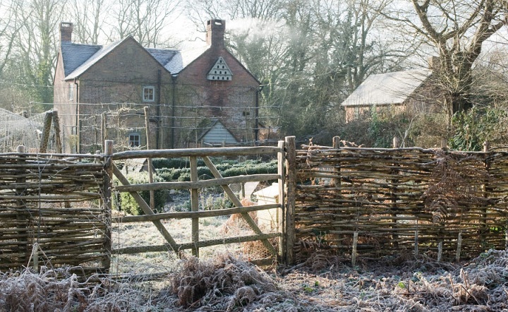 wattle fence