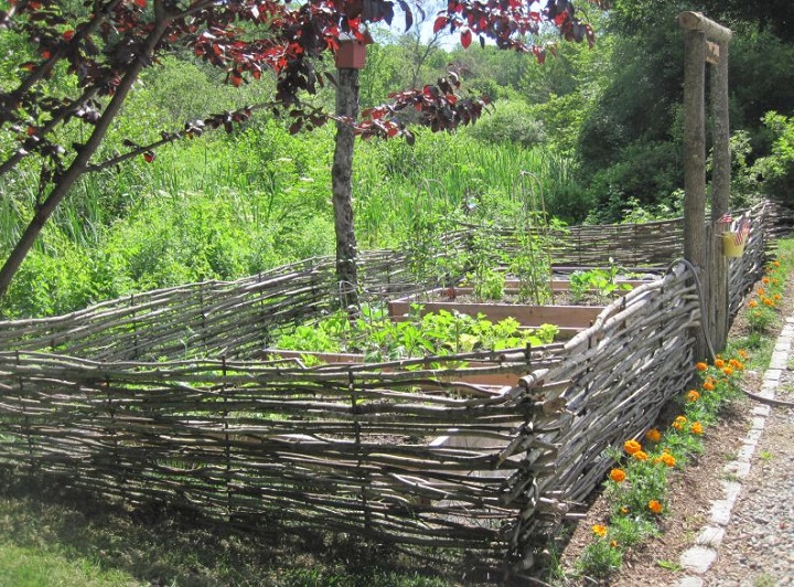 wattle fence