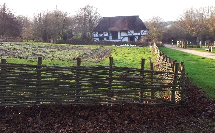 wattle fencing