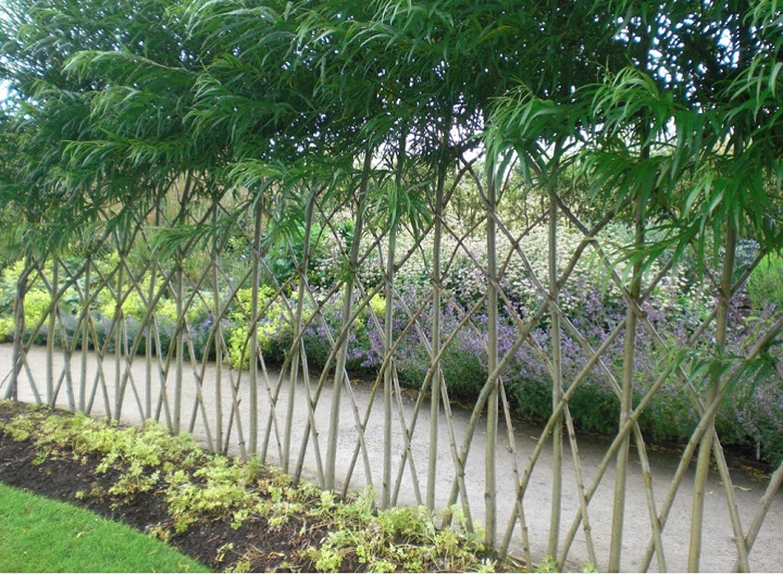 willow fence