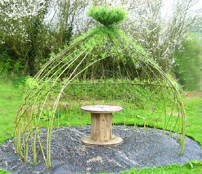 living willow arbor