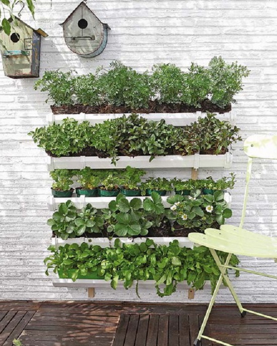 Vertical Herb Garden Insteading, Herb Garden Wall Planter