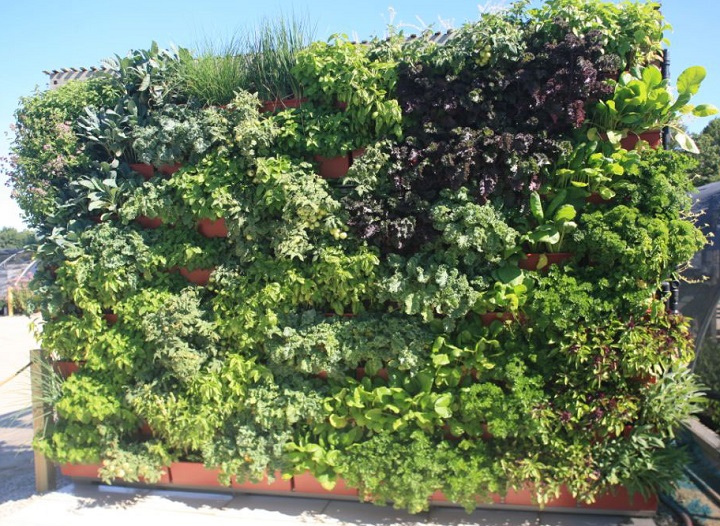 herb wall