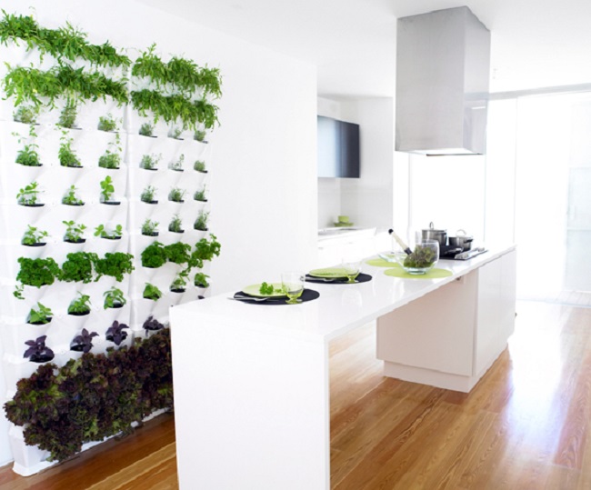 herb wall