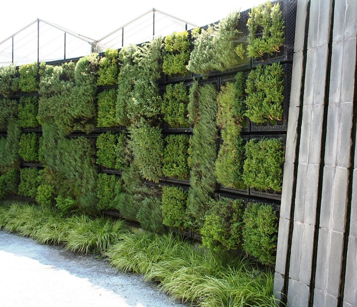 herb wall