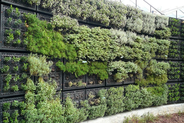 herb wall