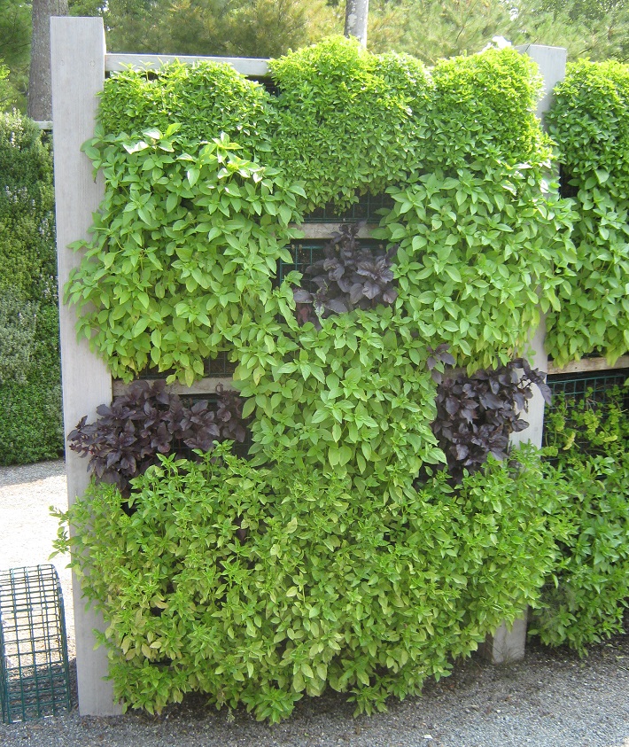 herb wall