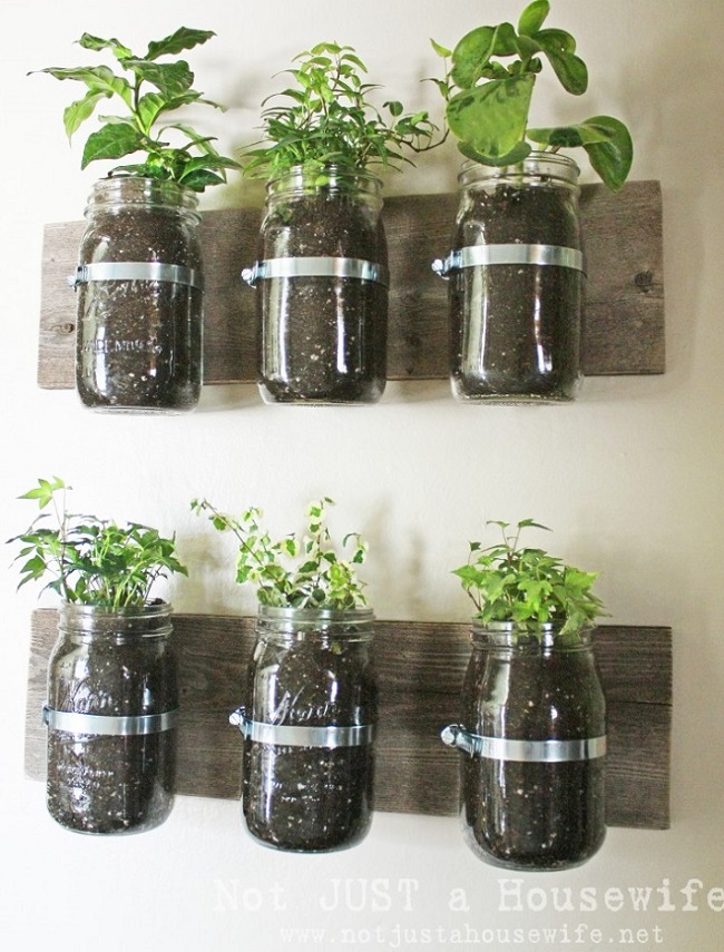 herb wall planter