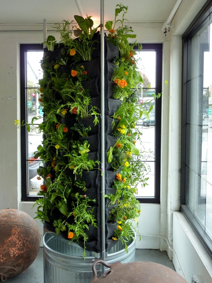 vertical herb garden