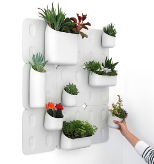 Herb Wall Planter Indoor