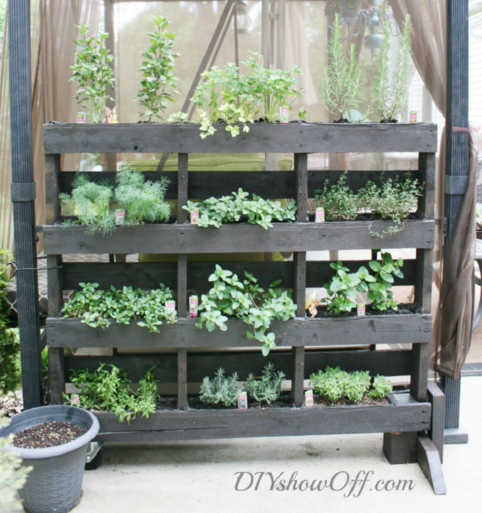 indoor vertical herb garden diy