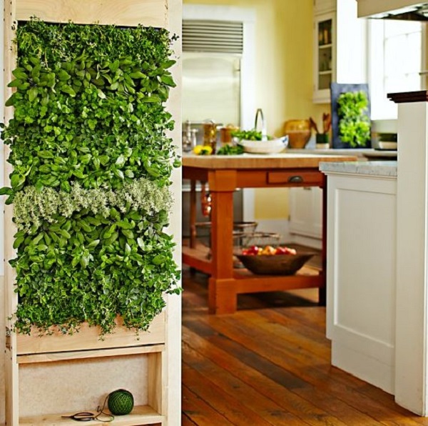 herb wall