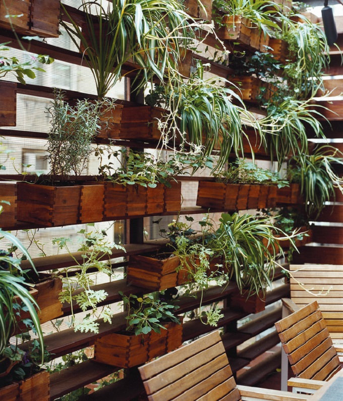 herb wall