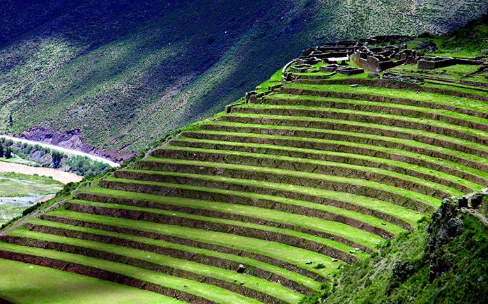 terraced farm